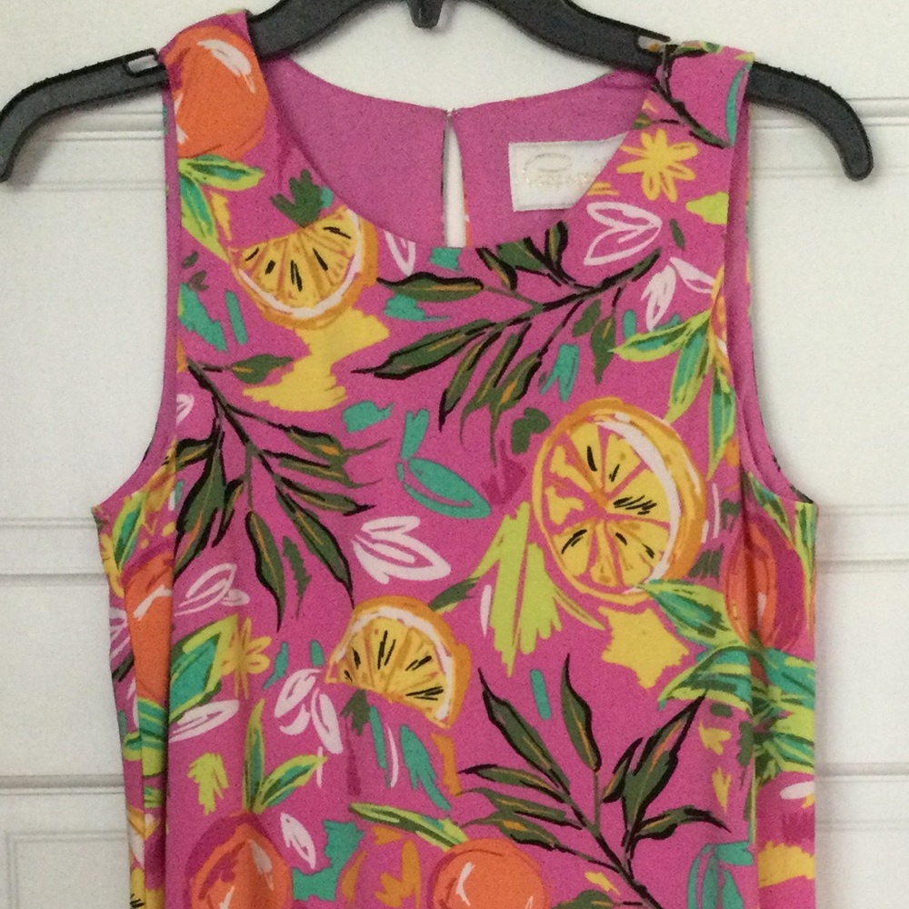 Pappagallo Dress  New with Tags Small